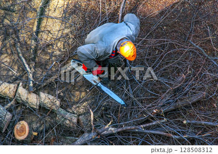 A city municipal service worker removes and saws cut tree branches in courtyard of apartment building 128508312