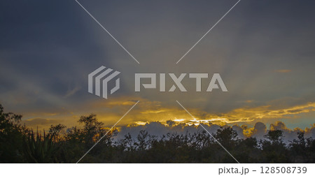 Beautiful rays of the evening sun and cloudy landscape before an evening thunderstorm in South Africa. 128508739