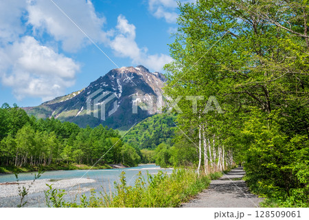 上高地『爽やかな梓川沿いの風景と焼岳』  128509061