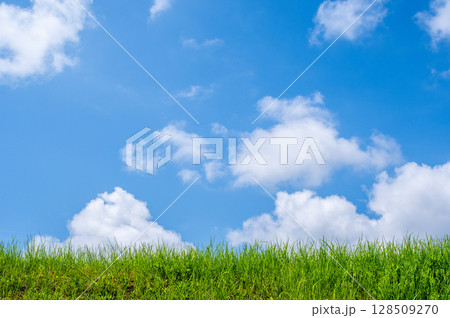 『風景・背景素材』爽やかな夏の青空と草原 『風景・背景素材』爽やかな夏の青空と草原 128509270