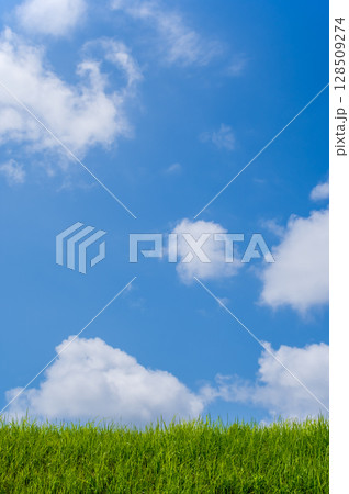 『風景・背景素材』爽やかな夏の青空と草原 『風景・背景素材』爽やかな夏の青空と草原 128509274