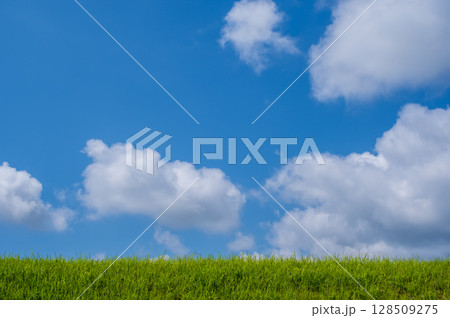 『風景・背景素材』爽やかな夏の青空と草原 128509275