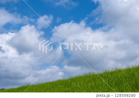 『風景・背景素材』爽やかな夏の青空と草原 『風景・背景素材』爽やかな夏の青空と草原 128509280