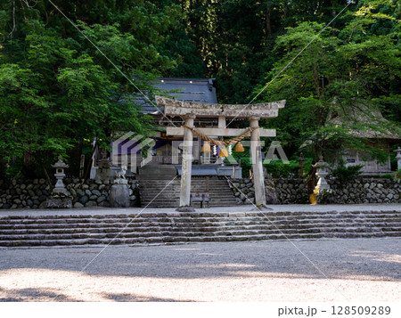 【白川郷】夏の合掌村の神社 128509289