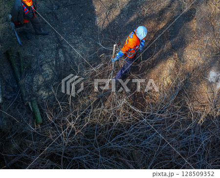Dnipro, Ukraine - March 20, 2024: City municipal service workers remove and saw cut tree branches in courtyard of an apartment building. View from above. 128509352