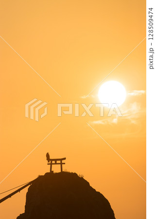 岩の上の鳥居と朝日(大分県大分市佐賀関) 岩の上の鳥居と朝日(大分県大分市佐賀関) 128509474