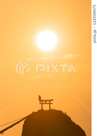 岩の上の鳥居と朝日(大分県大分市佐賀関) 岩の上の鳥居と朝日(大分県大分市佐賀関) 128509475