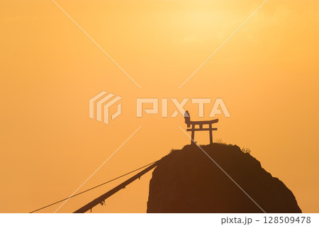 岩の上の鳥居と朝日（大分県大分市佐賀関） 128509478