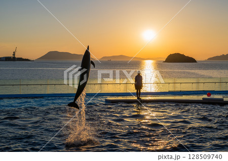 夕暮れのイルカショー 128509740