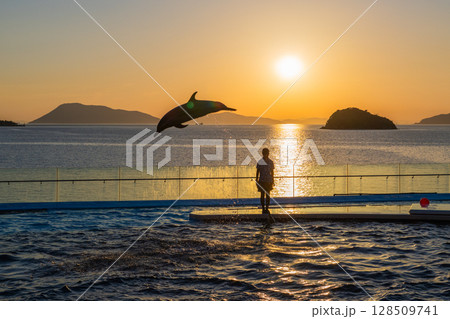 夕暮れのイルカショー 128509741