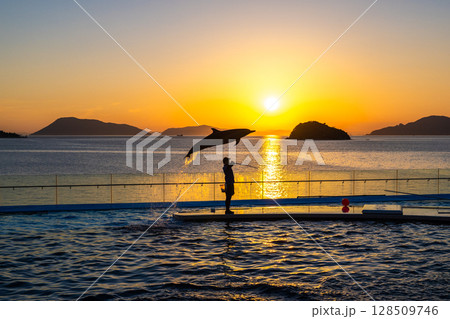 夕暮れのイルカショー 夕暮れのイルカショー 128509746
