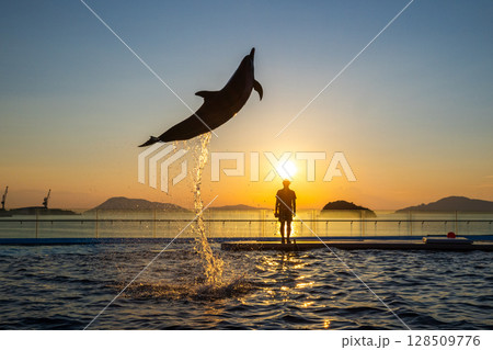 夕暮れのイルカショー 夕暮れのイルカショー 128509776