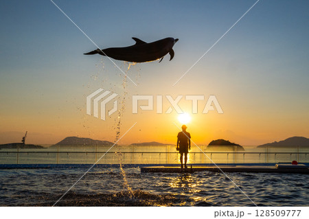 夕暮れのイルカショー 128509777