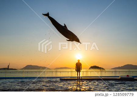 夕暮れのイルカショー 夕暮れのイルカショー 128509779
