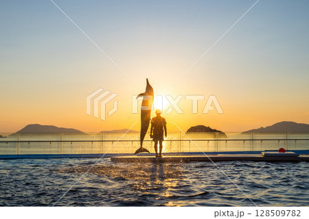 夕暮れのイルカショー 夕暮れのイルカショー 128509782