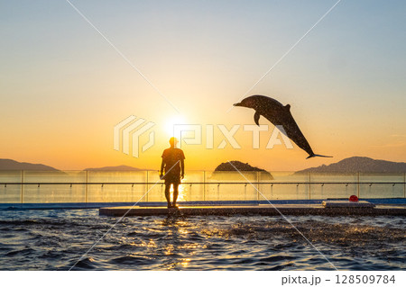 夕暮れのイルカショー 128509784