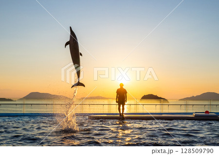 夕暮れのイルカショー 128509790