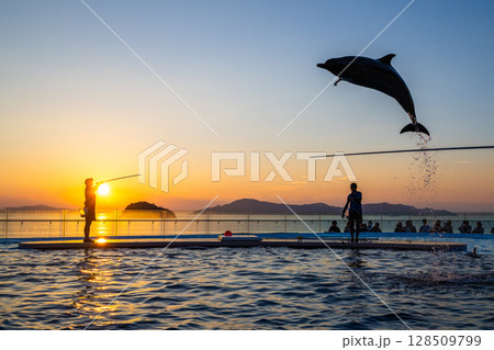 夕暮れのイルカショー 128509799