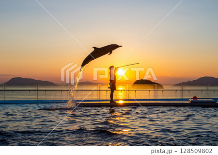 夕暮れのイルカショー 128509802