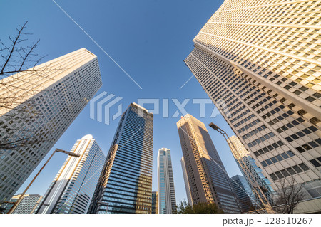 「東京都」日暮に新宿新都心のビル群を見上げる 「東京都」日暮に新宿新都心のビル群を見上げる 128510267