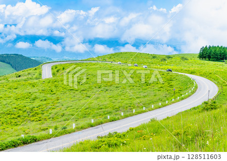 長野 夏の霧ヶ峰　ビーナスライン 128511603