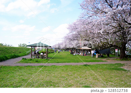 花見客でにぎやかな高麗川の桜堤 花見客でにぎやかな高麗川の桜堤 128512738