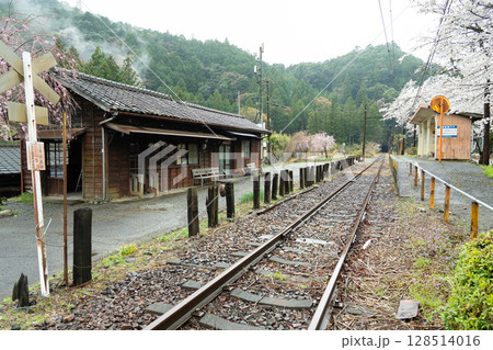 静岡県川根本町　大井川鐵道大井川本線の駅　雨降りの春の青部駅 128514016
