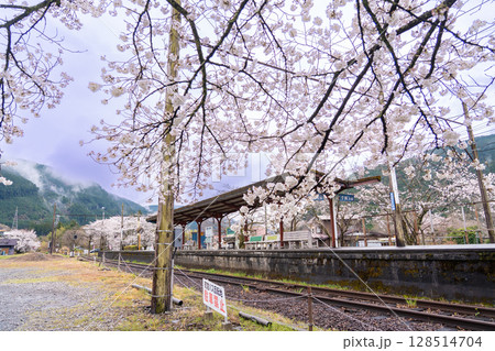 静岡県川根本町　大井川鐵道大井川本線の駅　雨あがりの春の駿河徳山駅 128514704