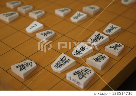 将棋の第96期棋聖戦第1局の投了棋譜 128514736