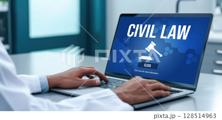 Civil law brisk information showing on computer screen for Common Justice 128514963