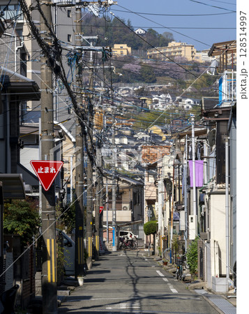 住宅密集地を通る路地の風景 128514997
