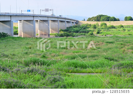 利根川 国道122号線 昭和橋 道の駅羽生付近 初夏の風景 利根川 国道122号線 昭和橋 道の駅羽生付近 初夏の風景 128515035