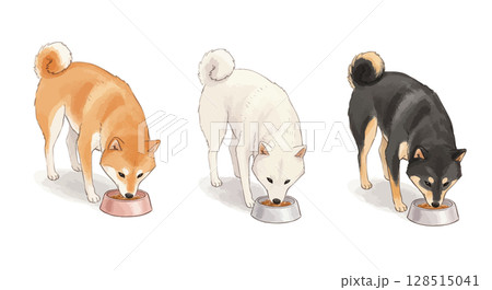 ご飯を食べる3匹の柴犬 128515041