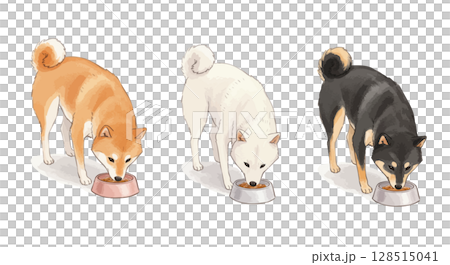 ご飯を食べる3匹の柴犬 128515041