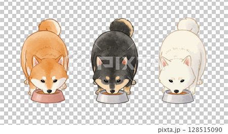 ご飯を食べる3匹の子犬の柴犬 128515090
