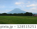 ニセコ町牧場からの羊蹄山 128515251