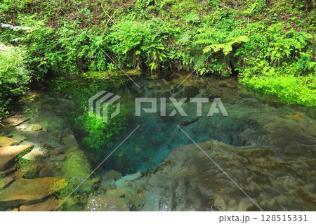 男池湧水（由布市庄内町） 128515331