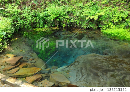 男池湧水(由布市庄内町) 男池湧水(由布市庄内町) 128515332