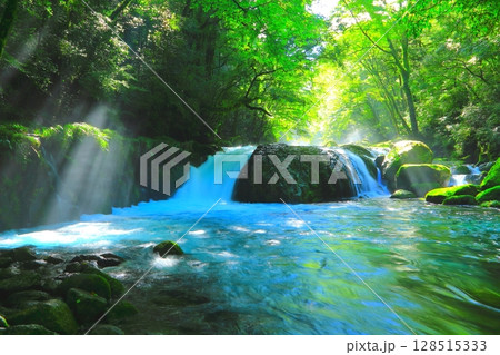 光さす菊池渓谷(黎明の滝・菊池市) 光さす菊池渓谷(黎明の滝・菊池市) 128515333