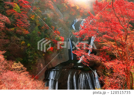 【茨城県】袋田の滝の紅葉 128515735