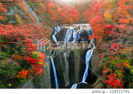 【茨城県】袋田の滝の紅葉 128515742