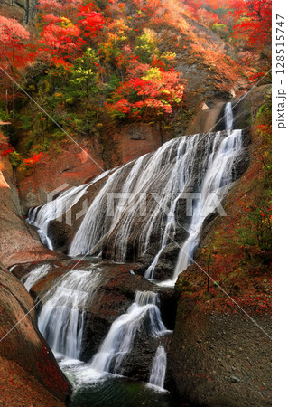 【茨城県】袋田の滝の紅葉 128515747