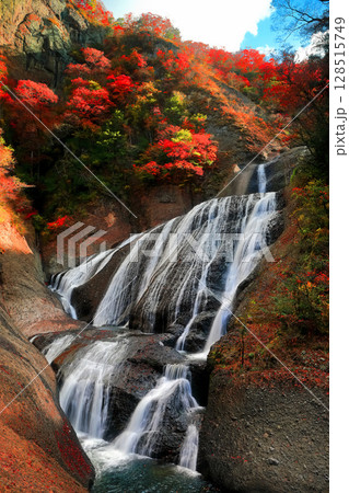 【茨城県】袋田の滝の紅葉 128515749