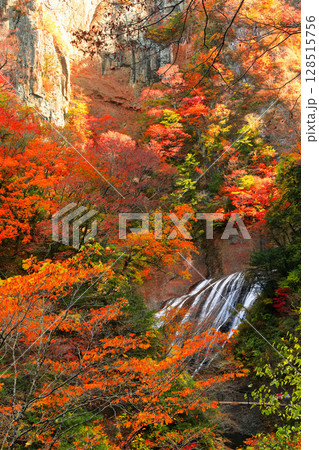 【茨城県】袋田の滝の紅葉 128515756