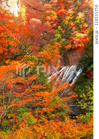 【茨城県】袋田の滝の紅葉 【茨城県】袋田の滝の紅葉 128515758