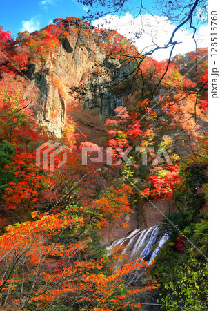 【茨城県】袋田の滝の紅葉 128515760