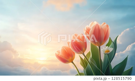Beautiful Tulips Under a Colorful Sky at Sunrise with Soft Clouds and Gentle Light Beautiful Tulips Under a Colorful Sky at Sunrise with Soft Clouds and Gentle Light 128515790