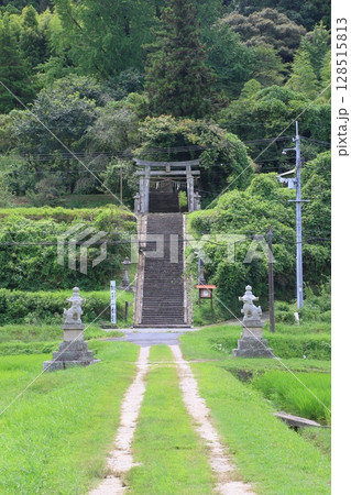 神社に続く参道　神社に上る階段 128515813