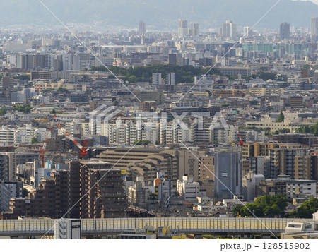高台から見る都市の風景 128515902