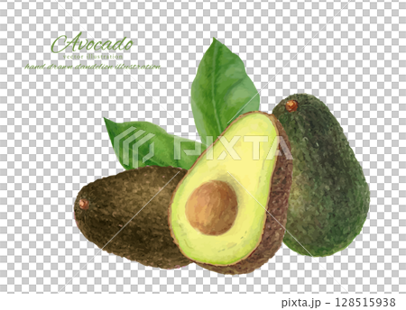 用水彩畫的切開的酪梨的向量插圖 128515938